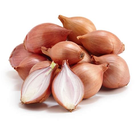 Shallots and onions also posses anti-fungal properties that can help fight candida and other infections. Research has shown that the allicin found in shallots offers powerful antimicrobial effects against many strains of bacteria. health benefits of a shallot shallot health benefits what is a shallot. Previous Article 8 Surprising Benefits of …